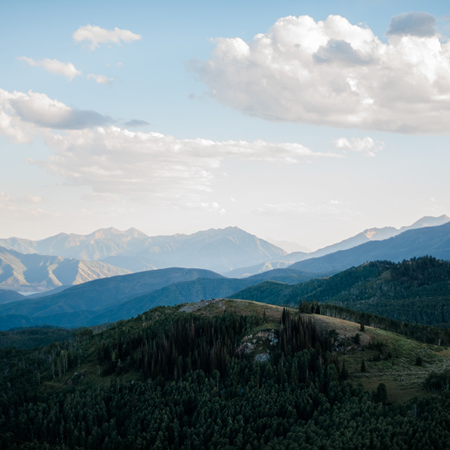 _DSC3488