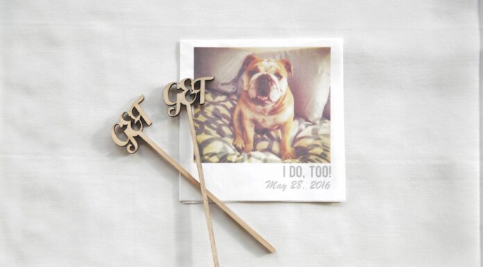 Signage Inspiration for Your Wedding Day