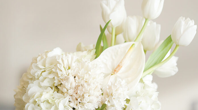 Anthuriums: Bring Tropical Heart to Your Bouquet