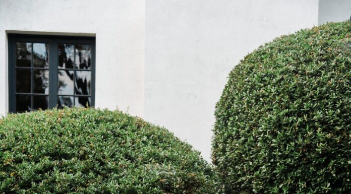 Fit Bride Friday: Tone It Up