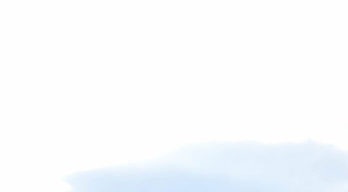 Windswept Bridals at Little Sahara