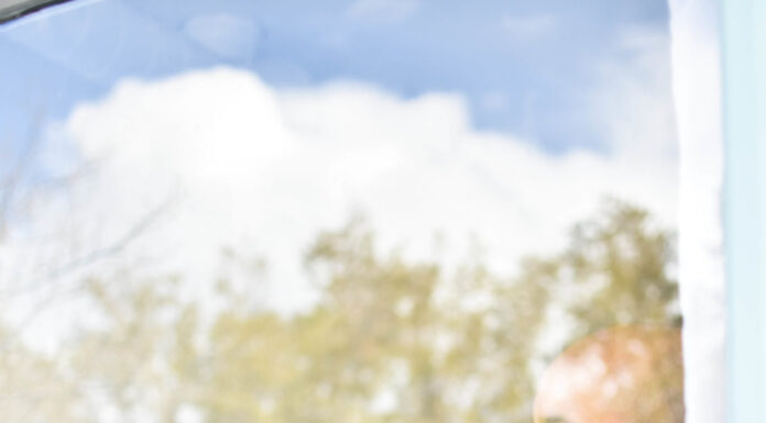 Tropical Wedding Inspiration for Summer Nuptials