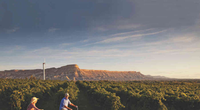 Honeymooning in the Vineyards of Colorado’s Grand Mesa