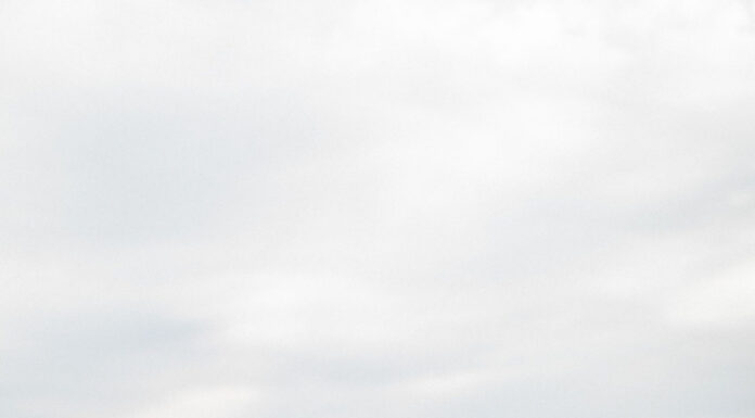 Tanna in Tuscany: Italian Countryside Wedding