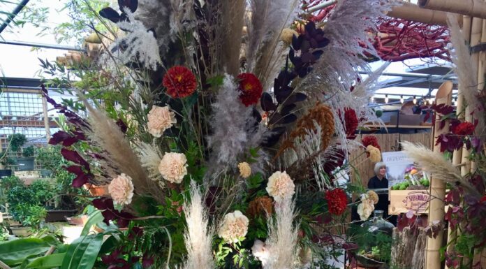 Floral Inspiration: Cactus & Tropicals’ Event Showcase