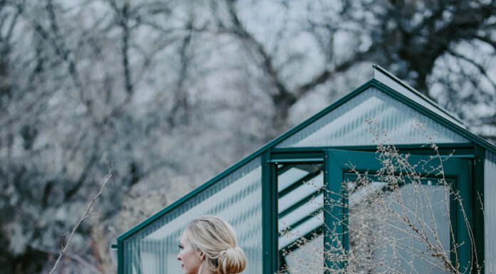 Winter Berry Romance