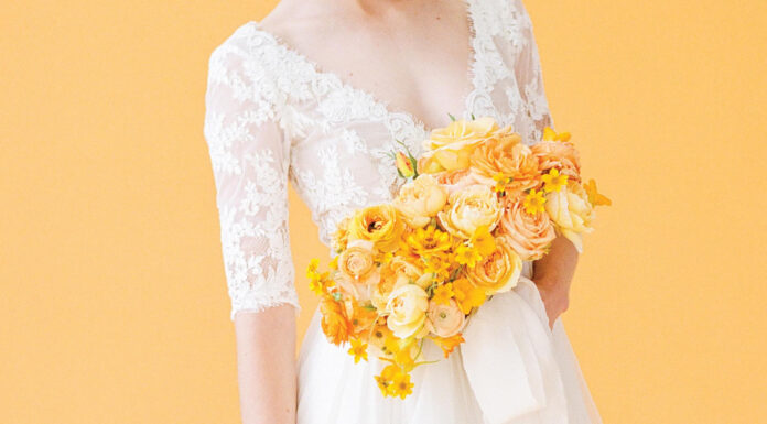 Singular Sensations: Solar Power