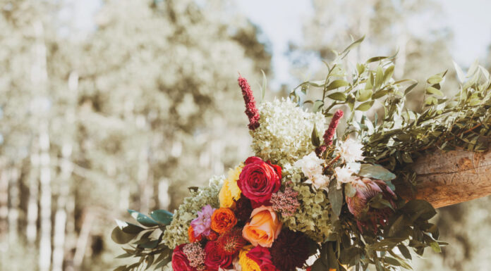 Real Weddings: Celebrating Fall Colors at Canyons Resort