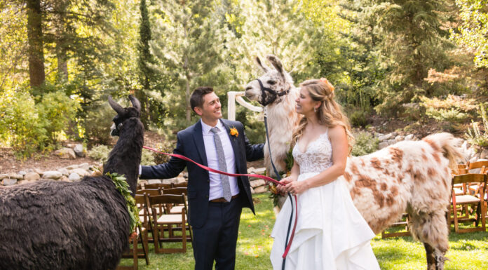 Amy & Nick’s Woodland Wedding at Sundance Mountain Resort