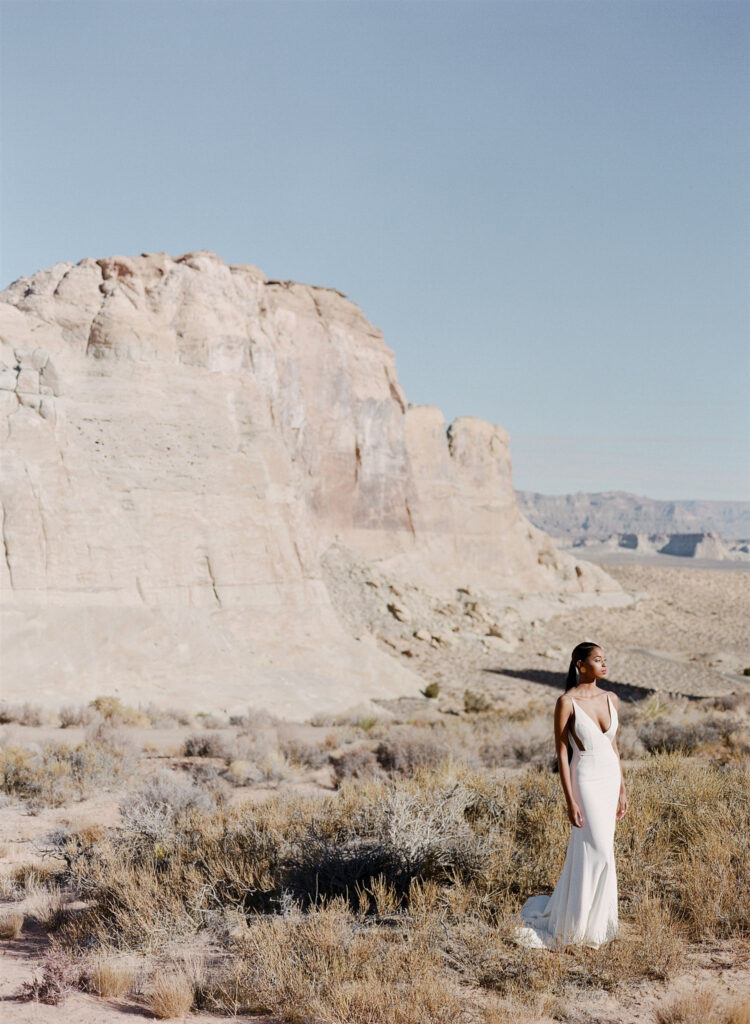 Desert Weddings