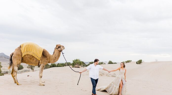 A Surprise Cameo: Tips on Animal Inclusion