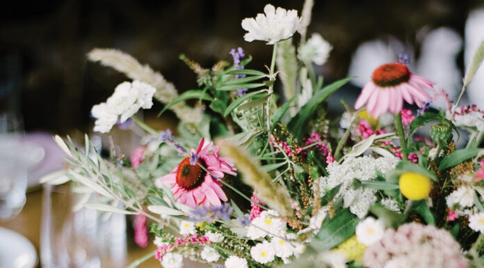 Crash Course on Color