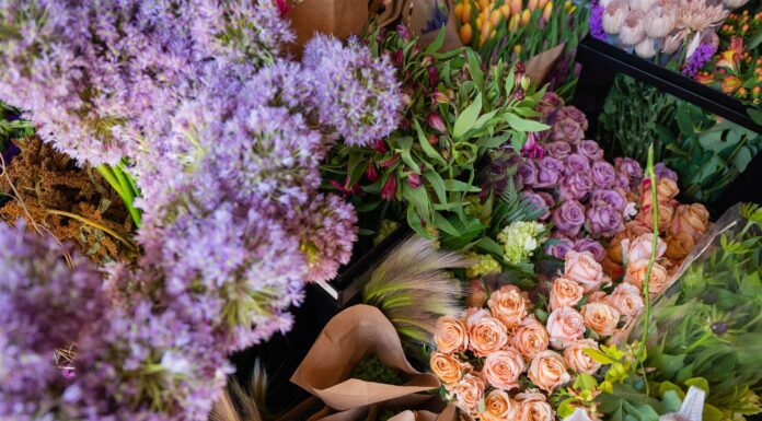 Utah Premiere Flower Collective