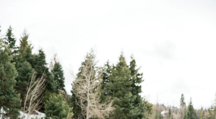 Real Wedding: Shannon and Matt’s St. Regis Celebration Winter Wonderland Wedding