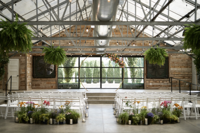 Screenshot-2025-07-08-at-5.38.56 PM-1024x681